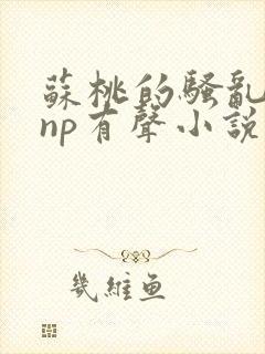 苏桃的骚乱文肉np有声小说