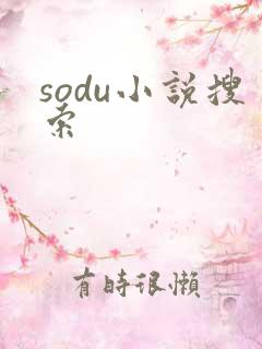 sodu小说搜索