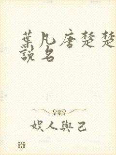 叶凡唐楚楚的小说名