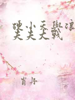 硬小天与浪小辉夫夫大战