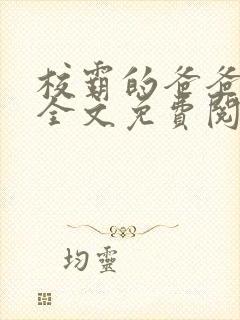 校霸的爸爸小说全文免费阅读