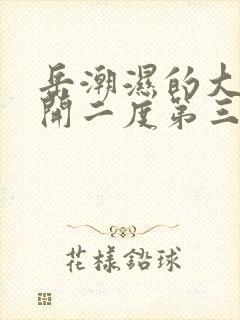 岳潮湿的大肥梅开二度第三部最新