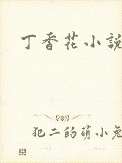 丁香花小说