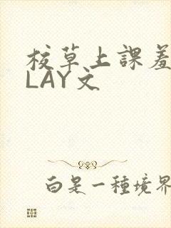 校草上课羞耻PLAY文