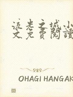 流光之城小说全文免费阅读