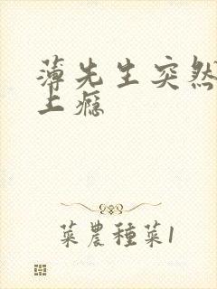 薄先生突然黏她上瘾