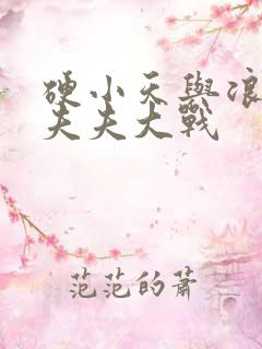 硬小天与浪小辉夫夫大战