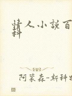 情人小说百度百科