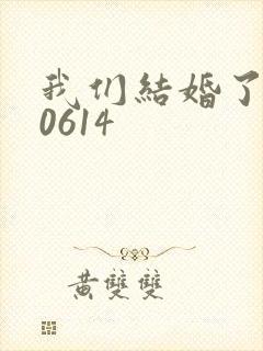 我们结婚了130614