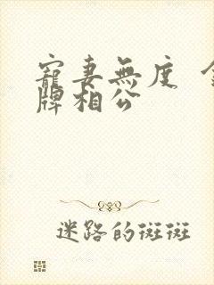 宠妻无度  金牌相公