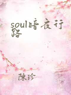 soul暗夜行路