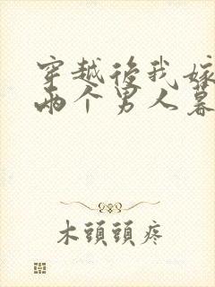 穿越后我嫁给了两个男人暮色酒歌