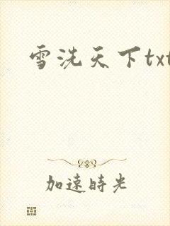 雪洗天下txt