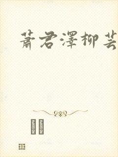 萧君泽柳芸小说