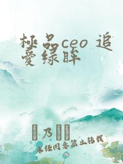 极品ceo 追爱绿眸