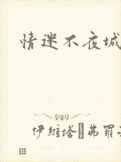 情迷不夜城