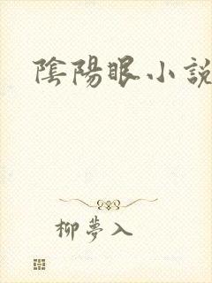 阴阳眼小说