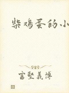 柴鸡蛋的小说