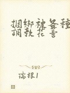 捆绑被各种工具调教花蒂