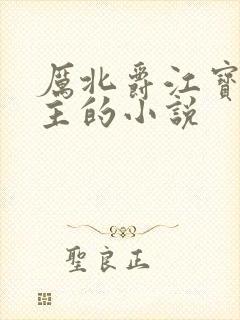 厉北爵江宝宝男主的小说