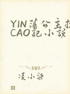 YIN荡公主挨CAO记小说
