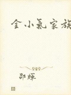 金小气家族小说