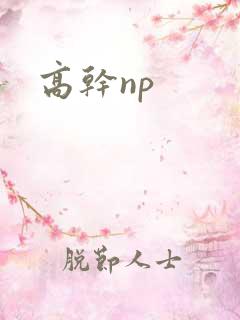 高干np