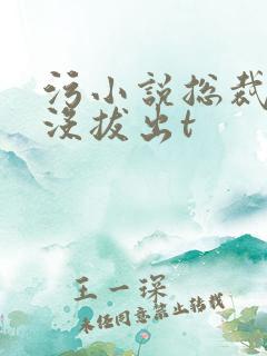 污小说总裁整夜没拔出t