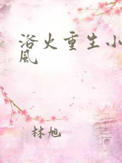 浴火重生小说陈风