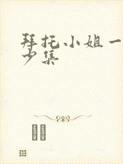 拜托小姐一共多少集