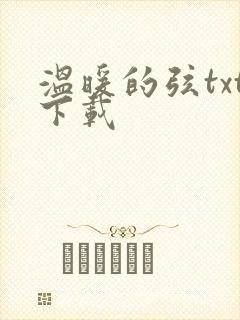 温暖的弦txt下载