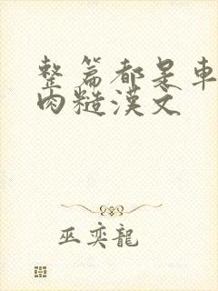 整篇都是车的多肉糙汉文