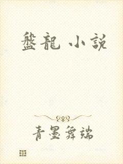 盘龙 小说