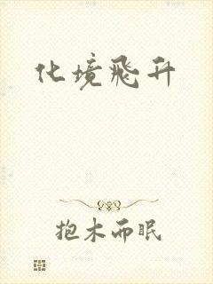 化境飞升