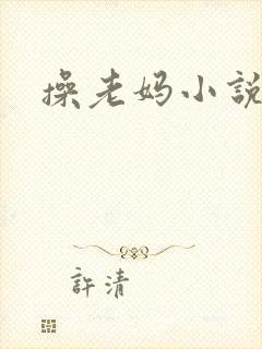 操老妈小说