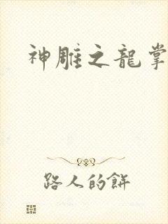 神雕之龙掌门