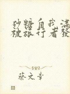 砂糖自我满足时被旅行者发现小说