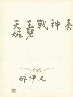 天王战神秦武林婉儿