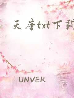 天唐txt下载