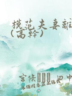 模范夫妻离婚了(高干)