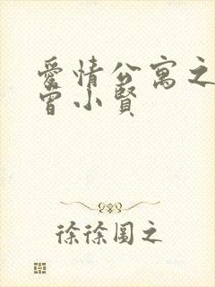 爱情公寓之极品曾小贤