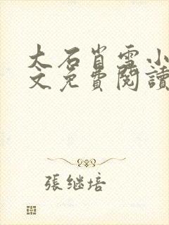 大石肖雪小说全文免费阅读