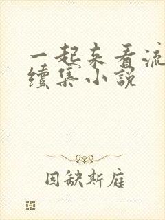 一起来看流星雨续集小说