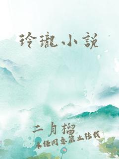 玲珑小说