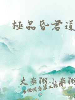 极品昏君道下载