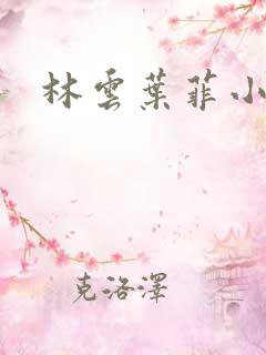 林云叶菲小说