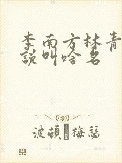 李南方林青青小说叫啥名