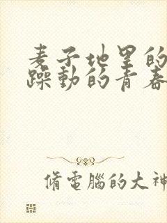 麦子地里的故事躁动的青春小说