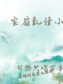 家庭乱情小说