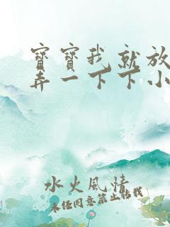 宝宝我就放进去弄一下下小说